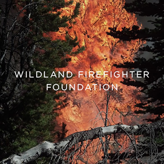 Wildland Firefighting Book